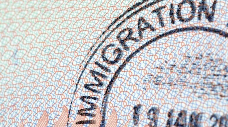 TN Visa Lawyer