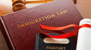 TN Visa Lawyer